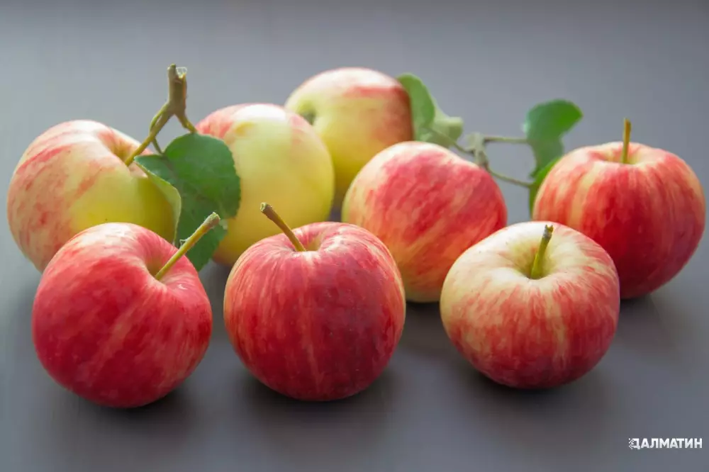 Яблоки. 5 причин ежедневно употреблять эти замечательные фрукты