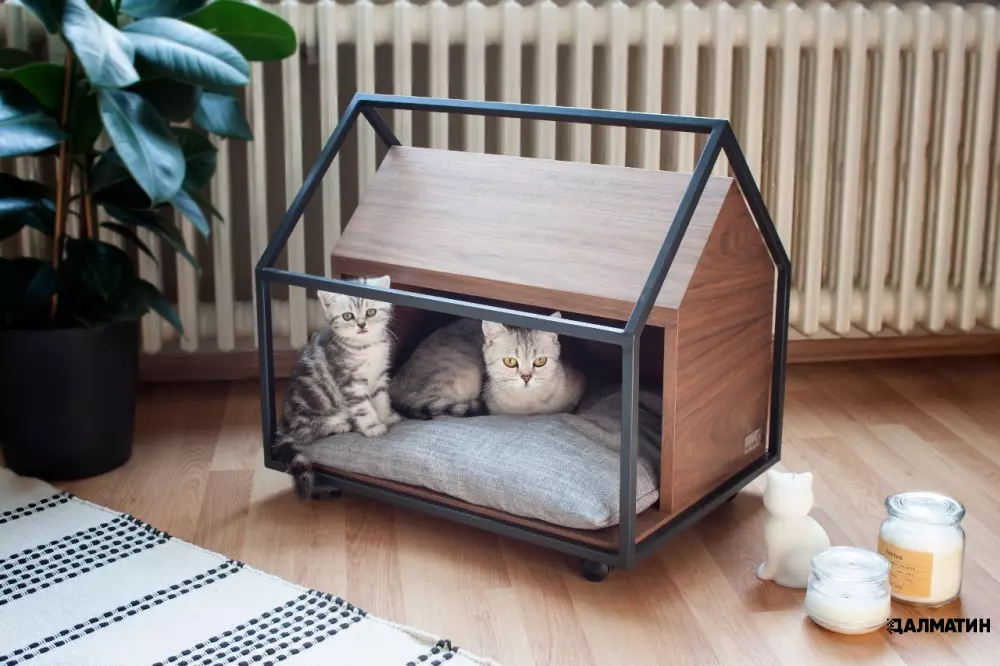 Китайский блогер создал внутри зоомагазина своей жены миниатюрный дом для котиков
