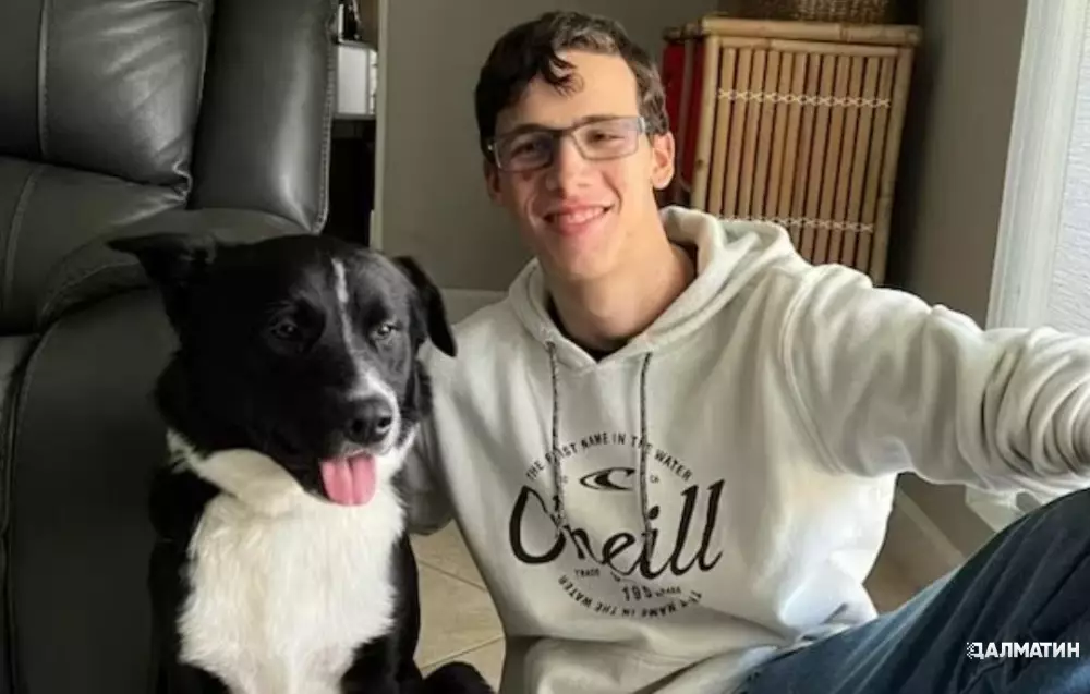 В США пес спас своего 17-летнего хозяина во время инсульта