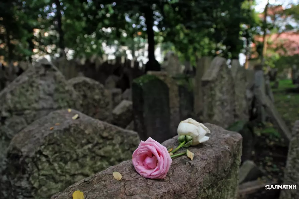 Цветы с кладбища
