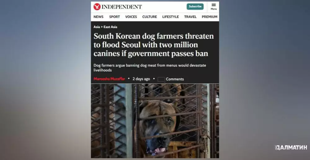 Корейские фермеры грозятся выпустить на Сеул 2 миллиона псов
