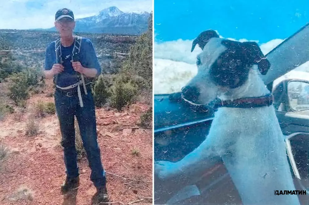 Собака два месяца просидела в горах Колорадо рядом с трупом хозяина