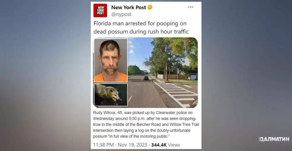 Жителя Флориды арестовали за то, что он покакал на мертвого опоссума в дорожной пробке