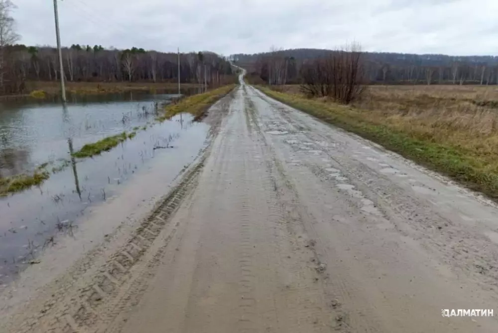 Бобры построили плотины, изменили русло реки, затопили село и оставили без света две новосибирских деревни