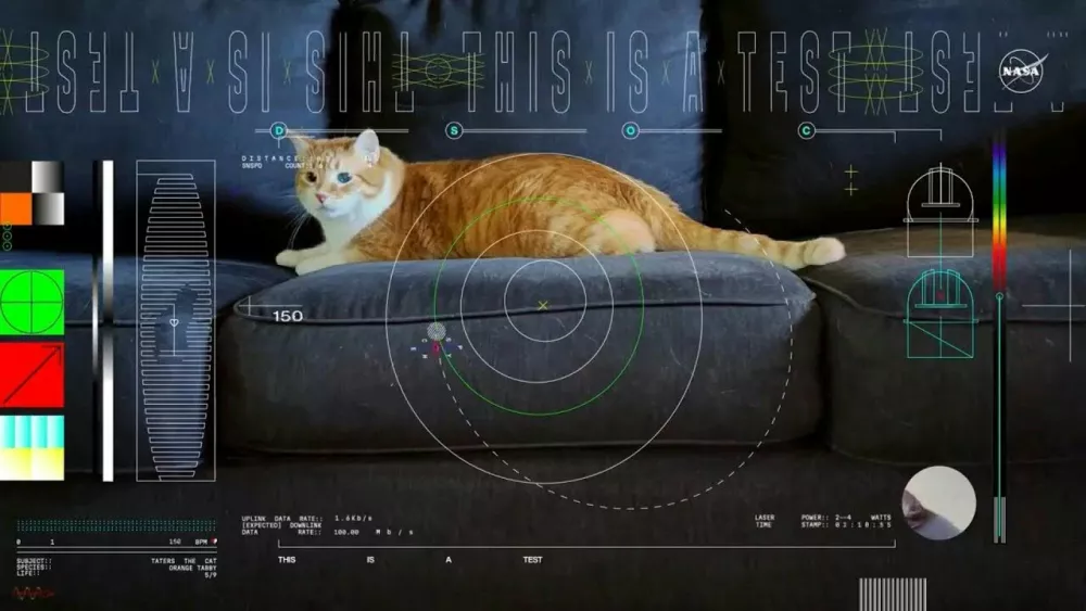 NASA передало из глубокого космоса на Землю первое видео с котиком