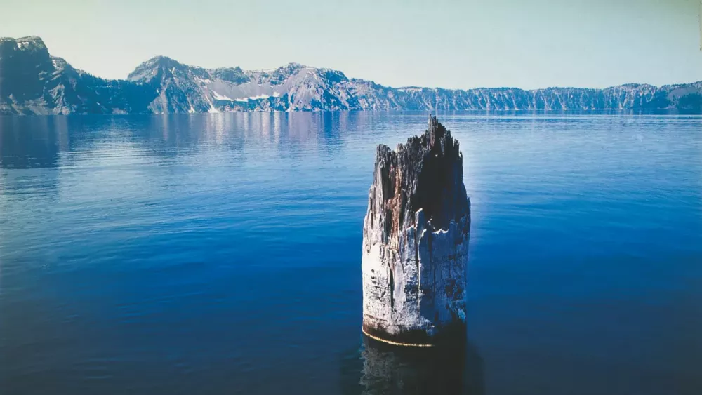 450 лет стоймя плавает в озере Крейтер загадочный ствол дерева