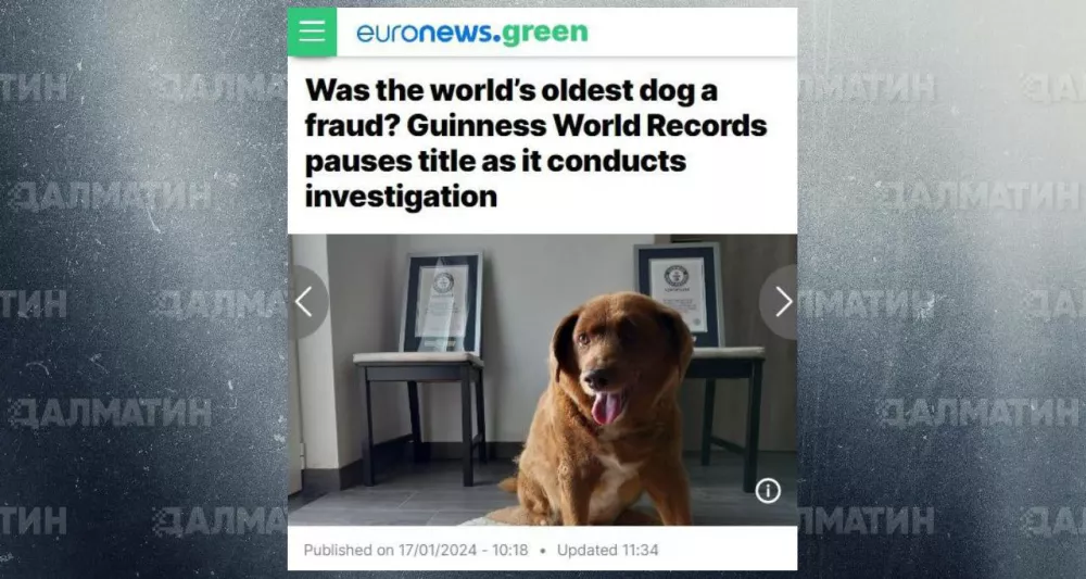 Самую старую собаку в мире посмертно уличили в мошенничестве и лишили титула