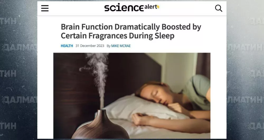 Ученые доказали, что функции мозга улучшаются на 226%, если во время сна нюхать правильные ароматы