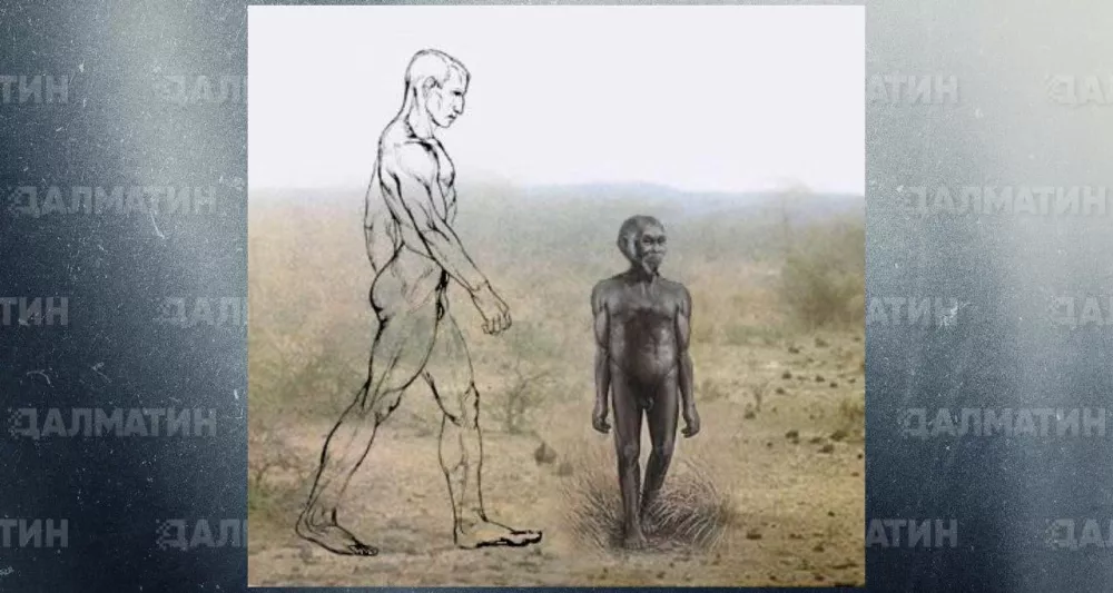 В 2003 году раскопки на индонезийском острове Флорес открыли миру Homo floresiensis