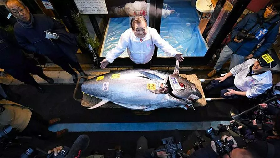 В Токио гигантский тунец был продан на аукционе почти за $ 800 000
