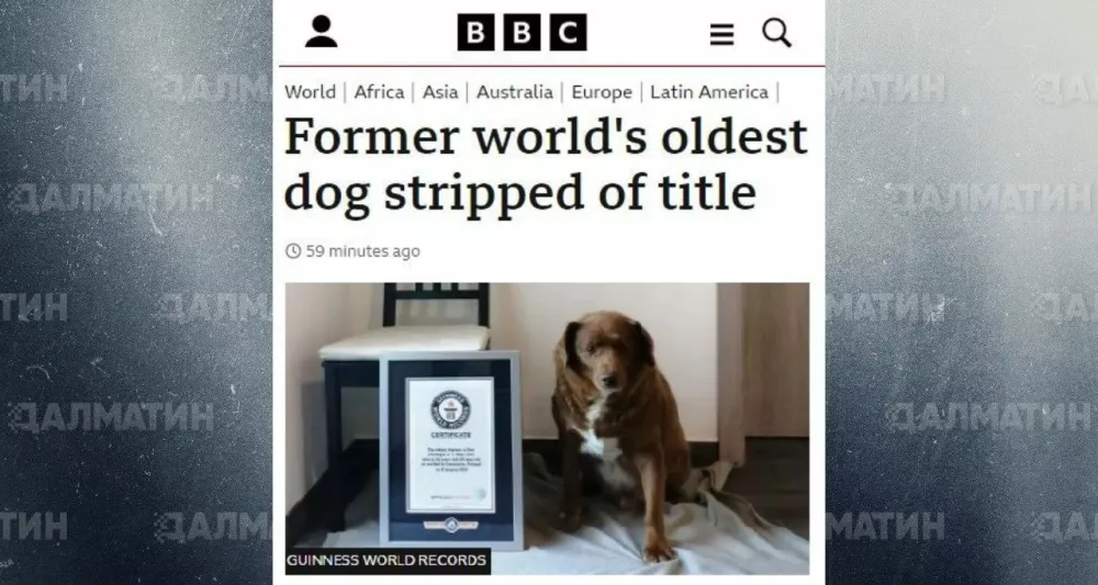 Книга рекордов Гиннесса посмертно лишила португальца Боби титула старейшей в мире собаки
