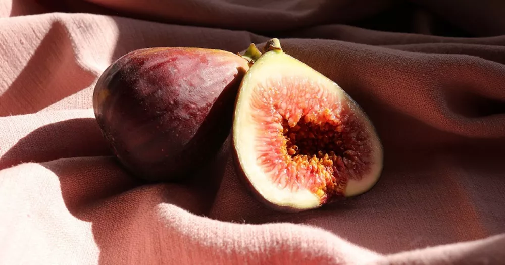 Почему инжир называют фруктом долголетия и чем он действительно полезен?