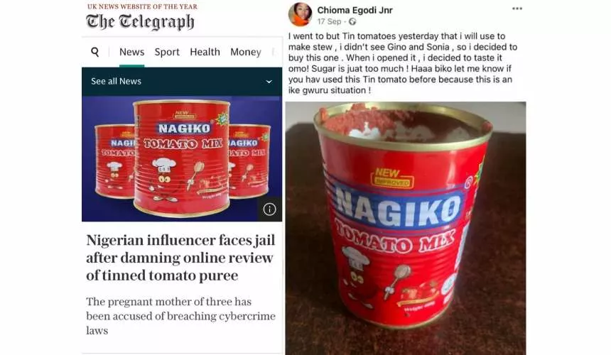 7 лет тюрьмы за плохой отзыв на томатную пасту грозит 39-летней женщине, в суд подал производитель