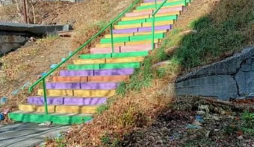 Жительницу Приморья возмутила цветная лестница около школы — она требует ее перекрасить