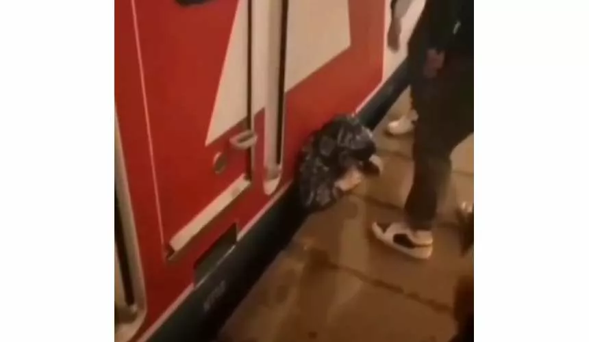Пьяного мужчину зажало между платформой и поездом на станции «Щербинка». Он практически не пострадал