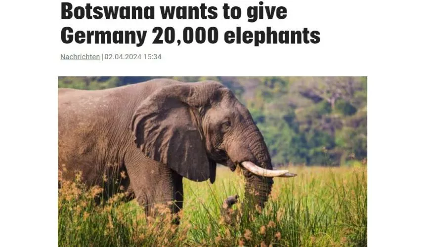 Ботсвана хочет подарить Германии 20000 слонов