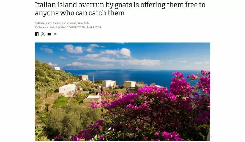 Небольшой остров Аликуди в Италии бесплатно раздаёт козлов всем, кто сможет их поймать