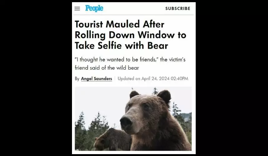Медведь напал на туристку, которая хотела сделать с ним селфи