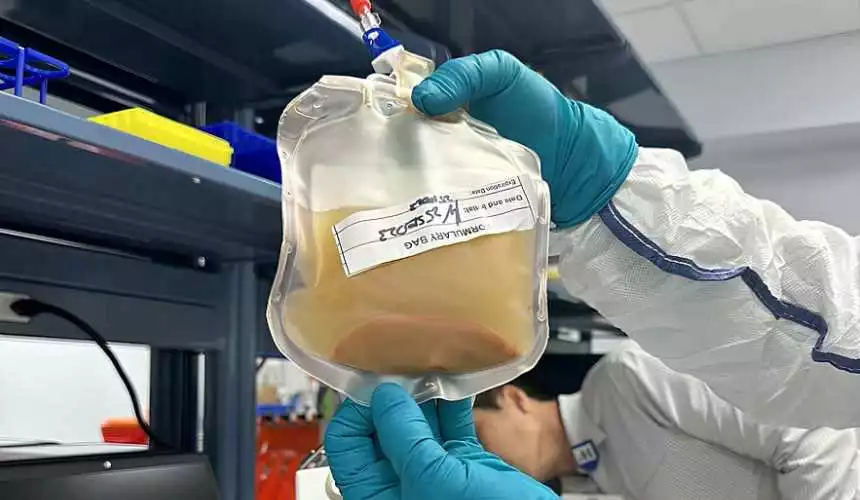 Ученые пытаются вырастить новую печень в организме человека