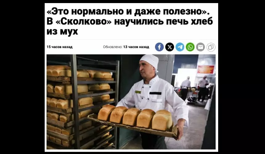 В «Сколково» научились печь хлеб из мух